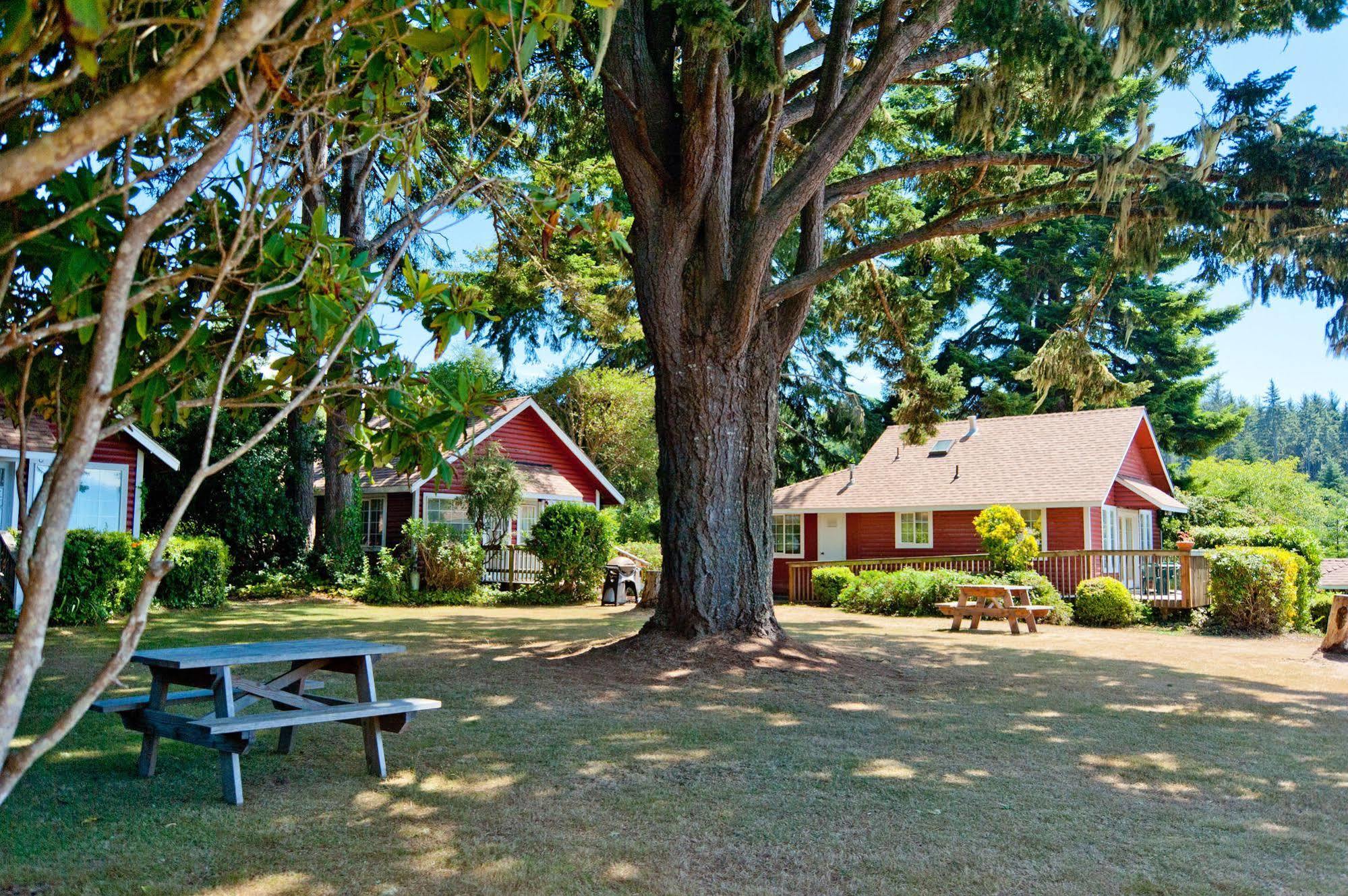 View Crest Lodge Trinidad Extérieur photo